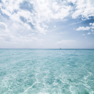 武藤绫香被弄到高潮了
