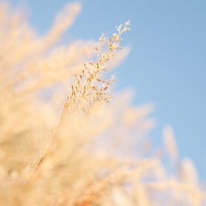 武藤绫香被弄到高潮了
